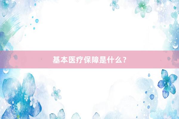 基本医疗保障是什么？